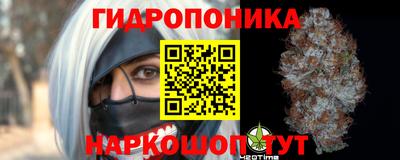 не бодяженный Шелехов