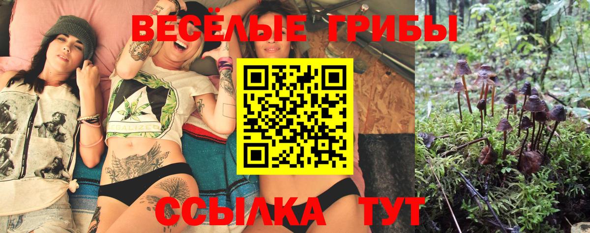 Галлюциногенные грибы MAGIC MUSHROOMS Белгород