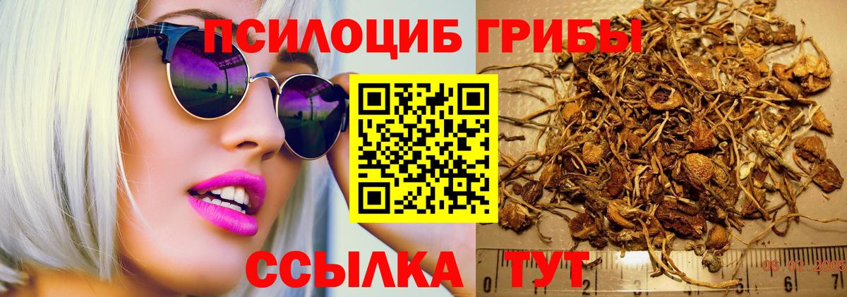 Псилоцибиновые грибы прущие грибы  Вход с VPN  Галлюциногенные грибы мицелий  Белгород 
